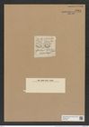 Asterolampra rylandsiana Grev. (de-Toni-Nr.: Genus 235, Species 5676) Zeichnungen Sammlung Grunow Nr. 9664 (NHMW-BOT-W0379597)